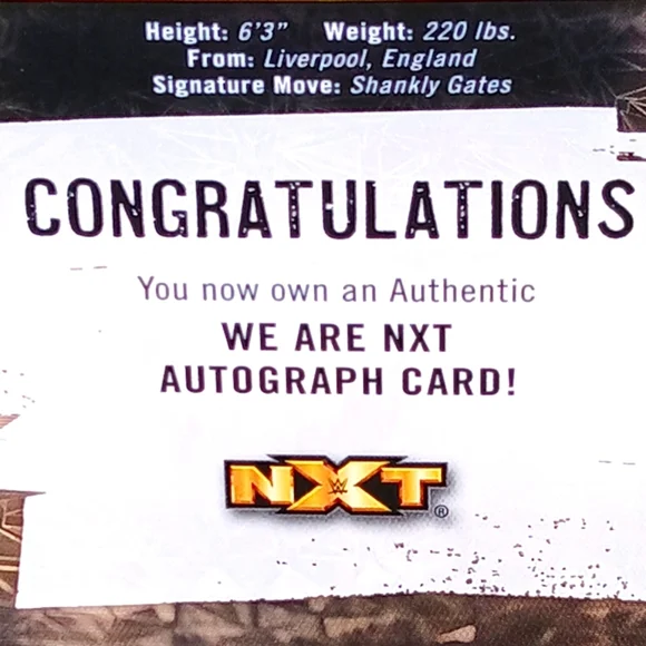 WWE Trading Cards Zack Gibson AND SHANTE The ADONIS Authentic Autographed NXT - Picture 13 of 14